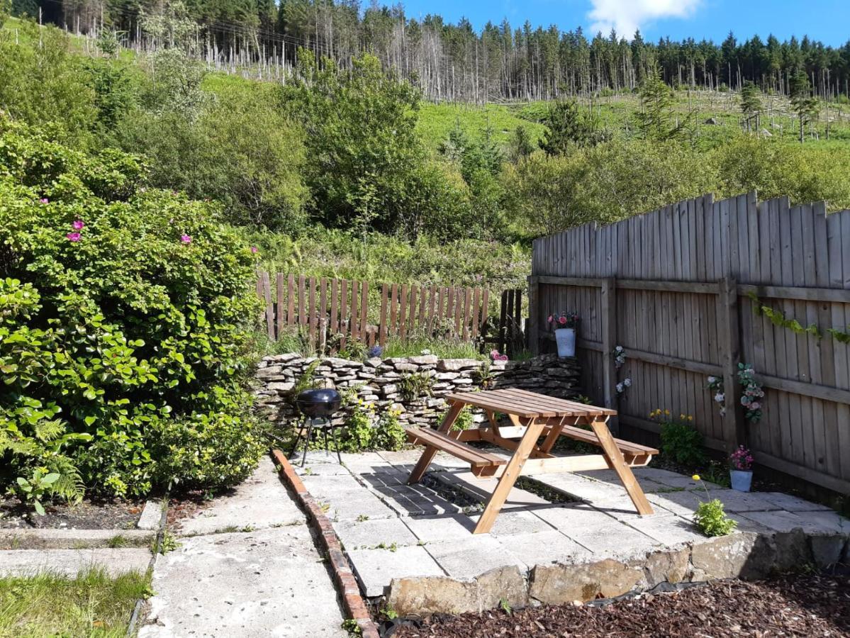 Afan Valley Home - Contractor Accommodation Port Talbot Exterior photo